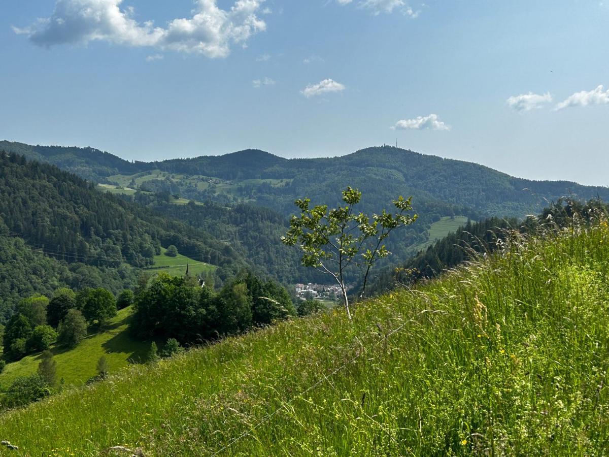Cella Apartments **** Zell im Wiesenthal Esterno foto